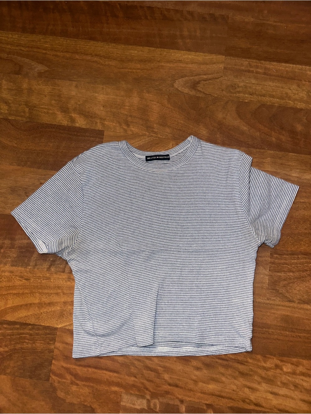 Brandy Melville Blue & White Striped Women’s Cropped Tee